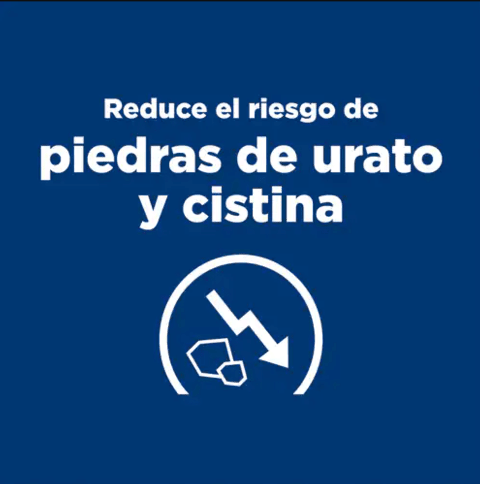 cuidado_urinario_seco_4