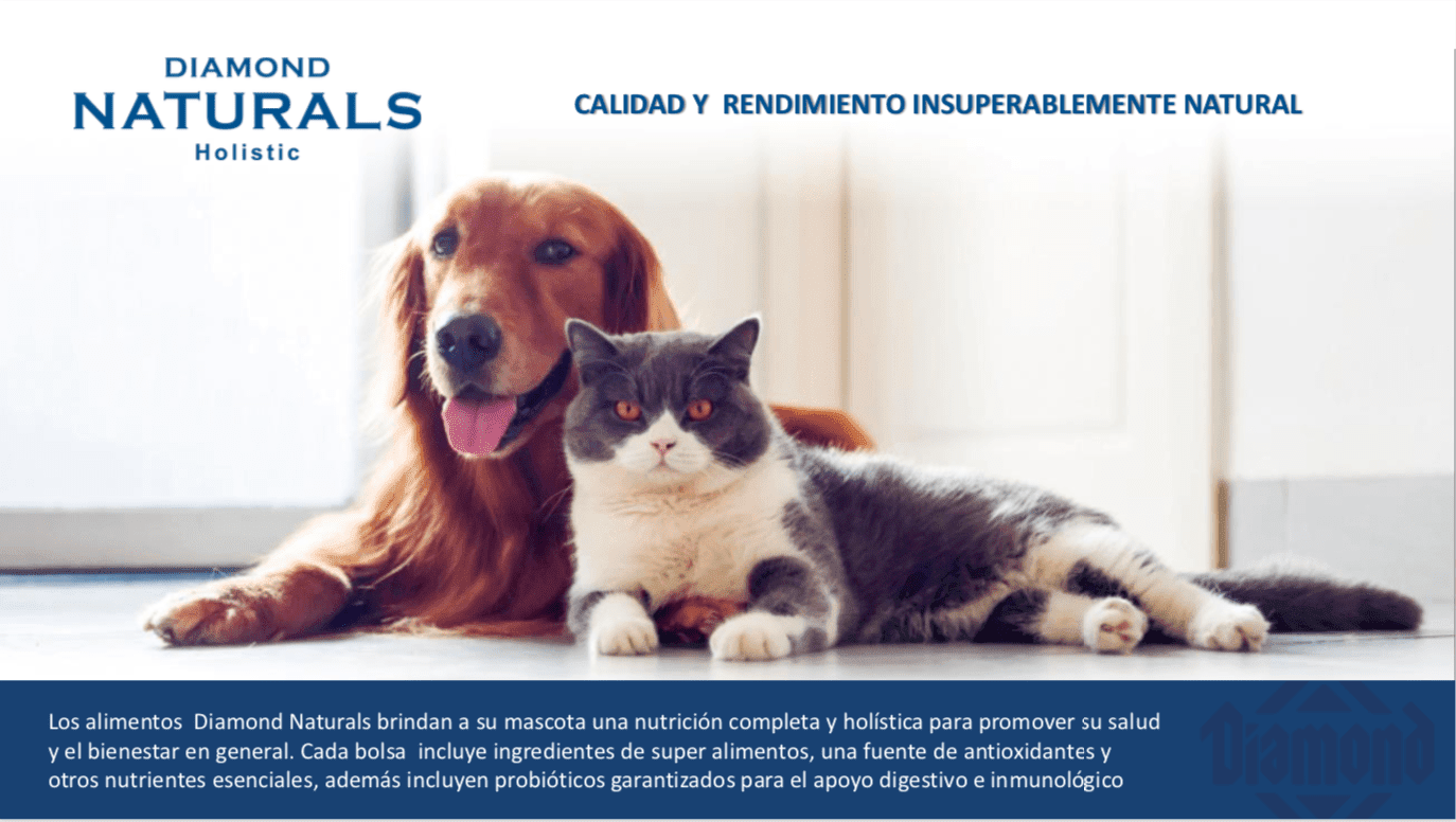 DIAMONDNATURALSHOLISTIC_549fa5b7-781d-48b6-8c6c-b550580472c2