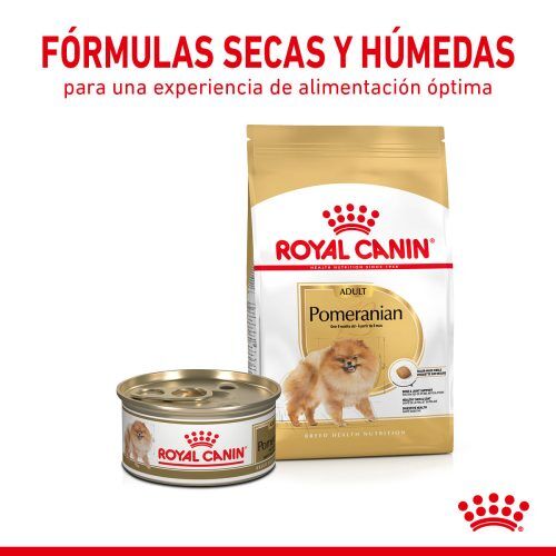 RC-SPT-DRY-PomAD-CV-3