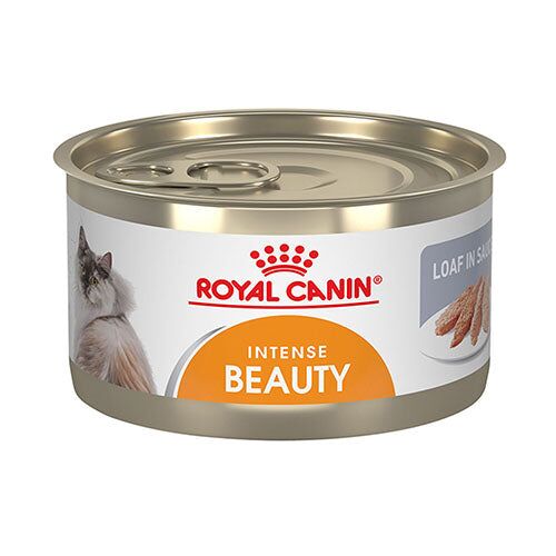 intense_beuty_lata