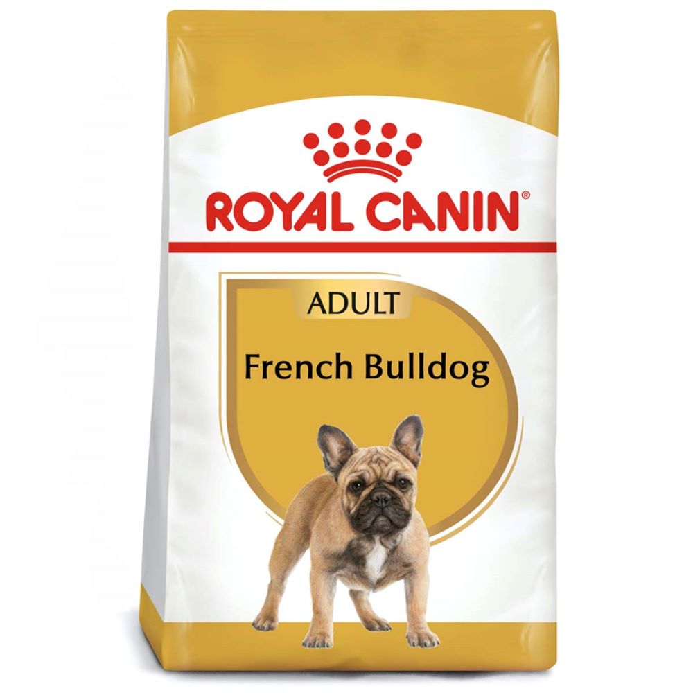 FrenchBulldog8