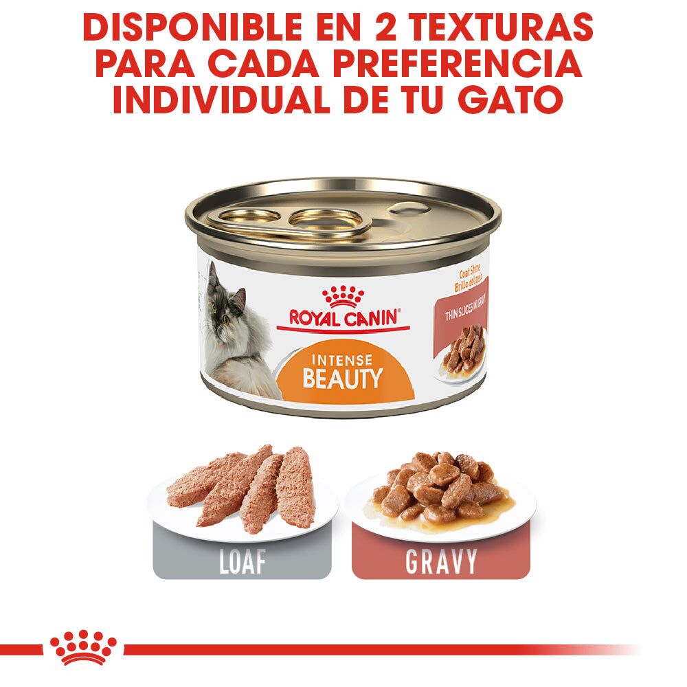 RC-FCN-Wet-IntenseBeautyGravy-CV-Eretailkit-5_e3d9c7f5-f3c7-43a9-9bbe-edad6c8175d0